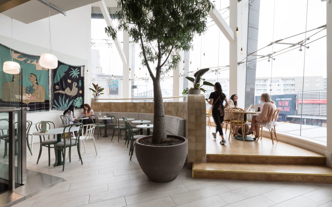 Leafe Café Westfield Newmarket