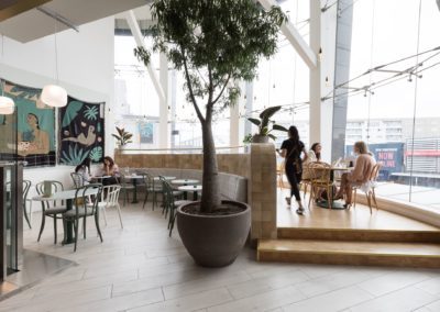 Leafe Café Westfield Newmarket