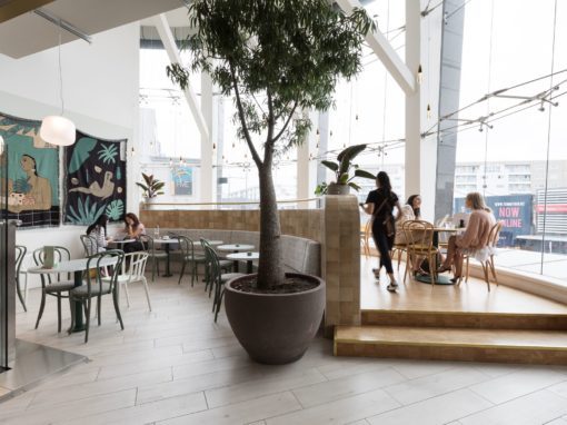 Leafe Café Westfield Newmarket